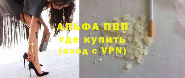 дживик Белокуриха
