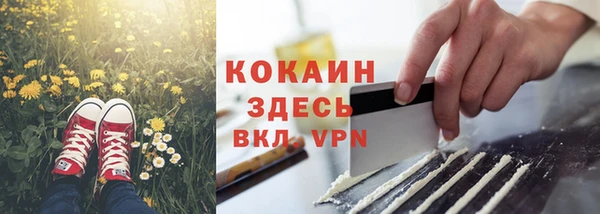 дживик Белокуриха