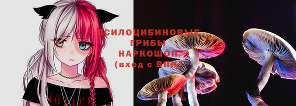 дживик Белокуриха
