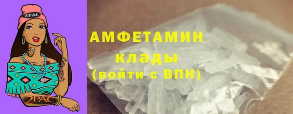 дживик Белокуриха
