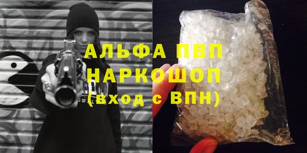 дживик Белокуриха