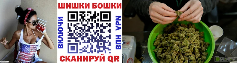 Купить закладки  Лесозаводск  Бошки Шишки семена 